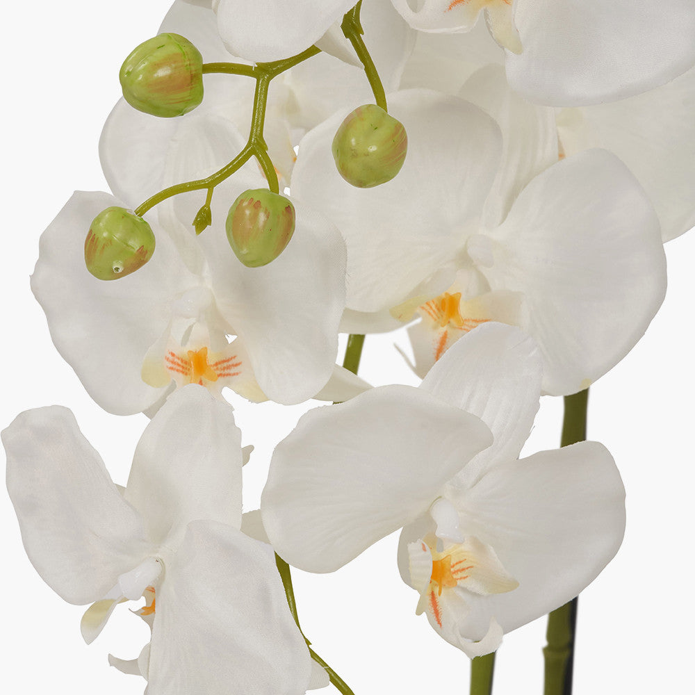 Artificial White Orchid in Moss Pot | Medium